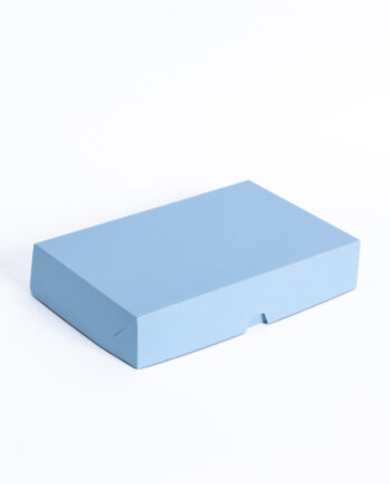 Caja multiuso sin visor 30x20x6