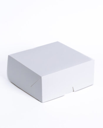 Caja multiuso s/visor 22x22x10cm blanca